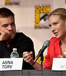 SDCC_2009_Panel_282729.jpg