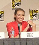 SDCC_2009_Panel_283329.jpg