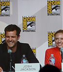 SDCC_2009_Panel_285129.jpg