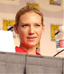 SDCC_2009_Panel_28929.jpg