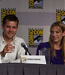 SDCC_2010_Panel_285129.jpg