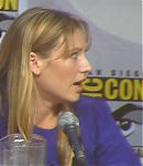 SDCC_2010_Panel_287029.jpg