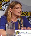 SDCC_2010_Panel_287229.jpg