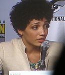 SDCC_2010_Panel_287629.jpg