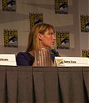 SDCC_2010_Panel_288529.jpg