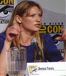 SDCC_2010_Panel_288629.jpg