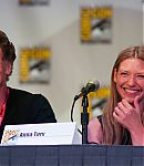 SDCC_2011_Fringe_Panel_2820229.jpg