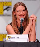 SDCC_2011_Fringe_Panel_2827829.jpg